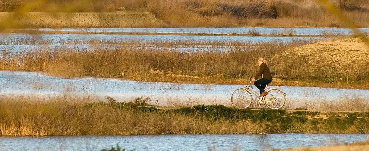 Somos aquello que vivimos y respiramos. Queremos contribuir a mejorar la calidad del entorno, que es también calidad de vida.