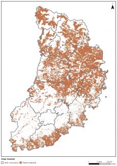 Acabats els estudis de camp i l’anàlisi d’alternatives de localització d’una planta pilot d’una biorefineria basada en la fusta