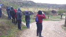 Bones observacions ornitològiques a la sortida i al taller d’anellament a Mas de Melons