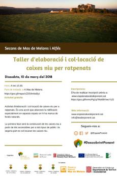 Taller d'elaboració i col·locació de caixes niu per ratpenats