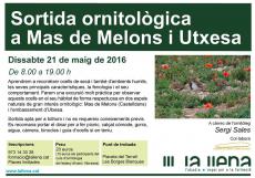 Sortida ornitològica a Mas de Melons i a Utxesa