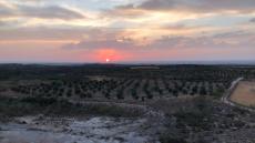 Iniciem els serveis d’informació i educació ambiental en la Reserva Natural de Mas de Melons i Secans de la Plana de Lleida