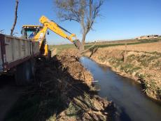 Vigilància ambiental de la restauració fluvial a la Séquia del Poble a Linyola