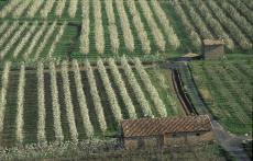 Pla d'Usos de l'Horta de Lleida