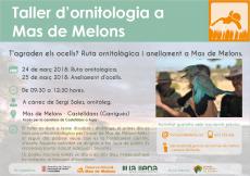 Taller d'ornitologia a Mas de Melons